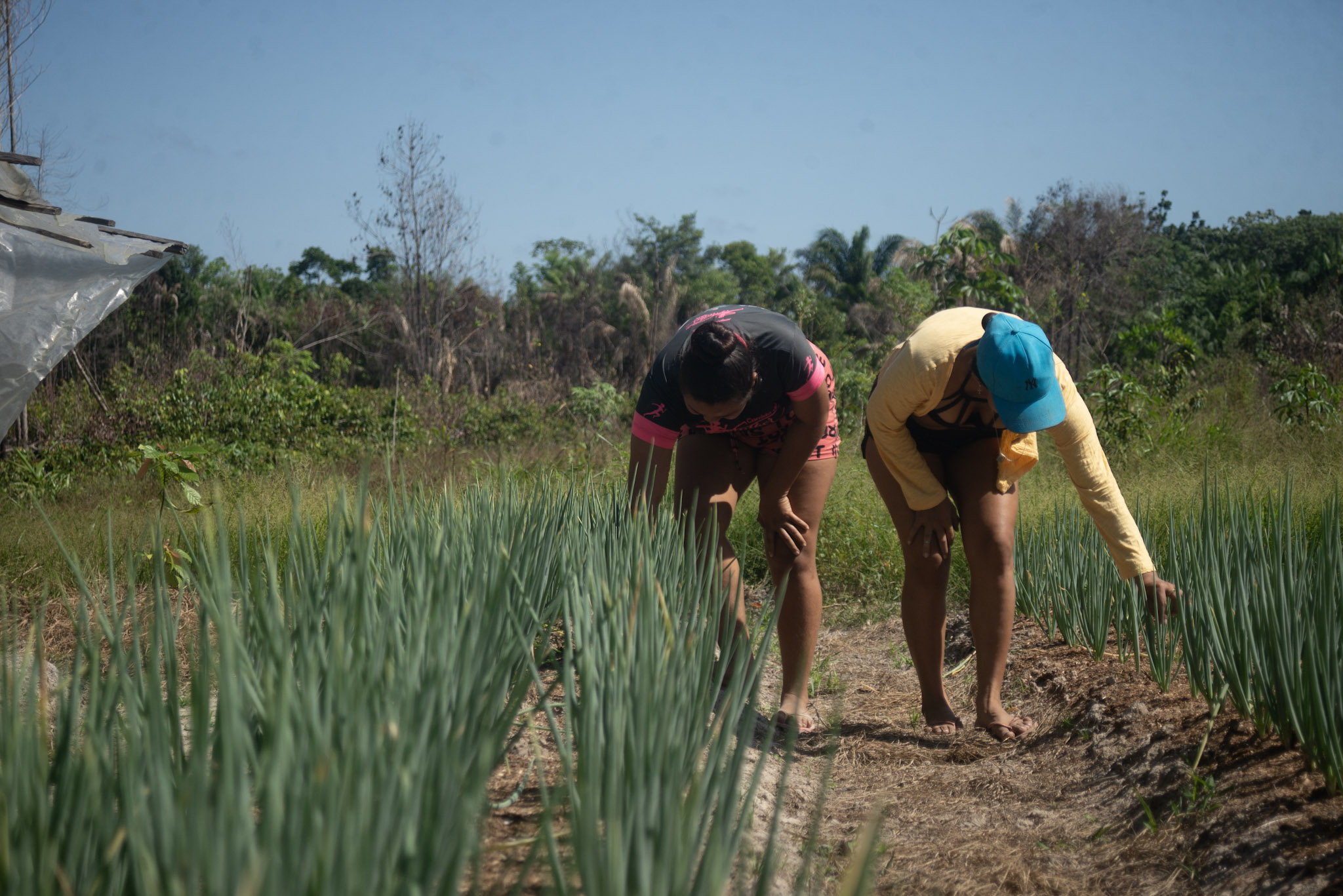 Edital Caixa Fundo Socioambiental: Projetos de Cidadania Financeira Podem Receber Até R$ 4 Milhões